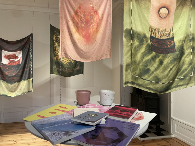 Udstilling på Rønnebæksholm. Fotokreditering: Næstved Bibliotek